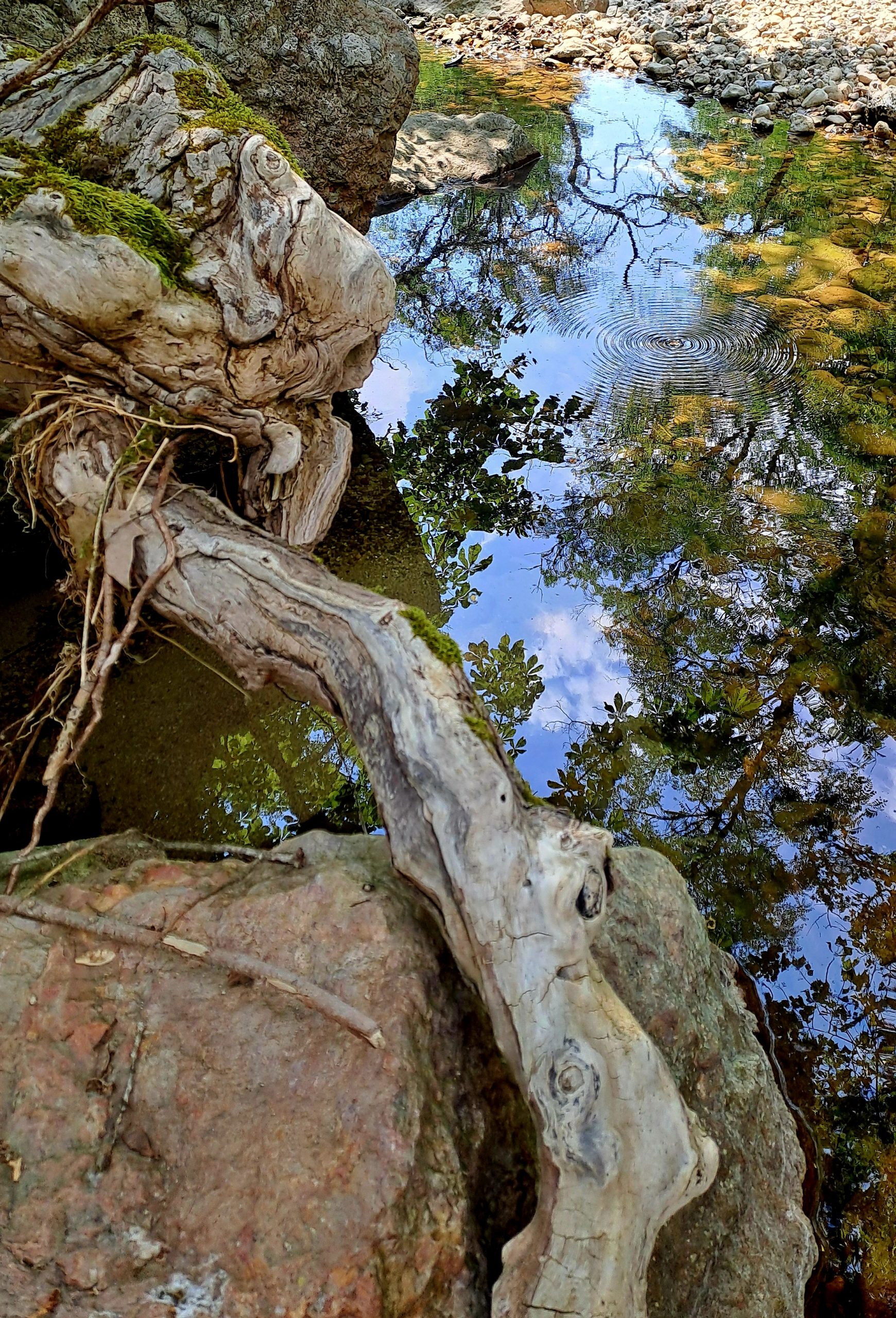 Les gorges de Châteaudouble
